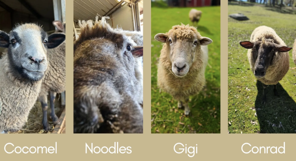 Screenshot 2025-04-14 at 3.41.28 PM